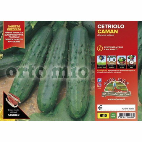 Cetriolo classico "Caman F1"