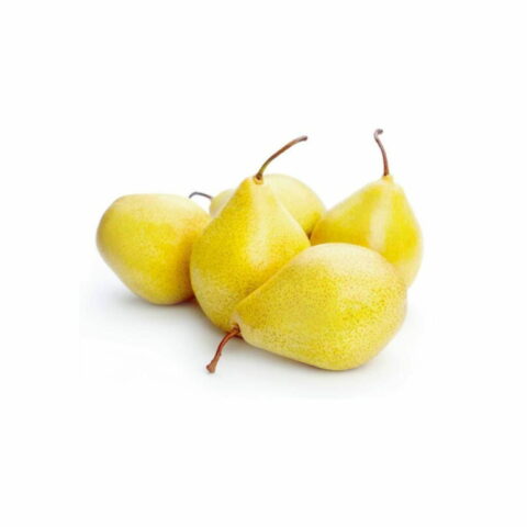 Pero nano "Pear Me var. Limonera"