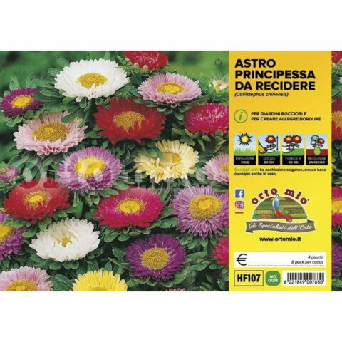 Astro principessa (da recidere)