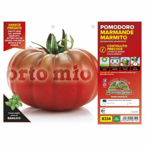 Pomodoro Costoluto Marmande "Marmito F1"