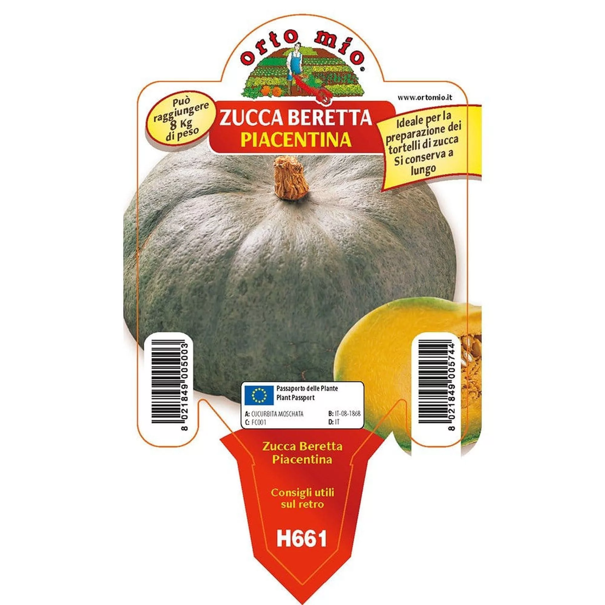 Zucca beretta piacentina