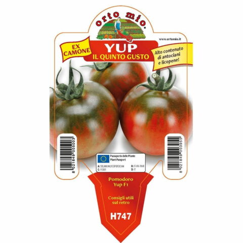 Pomodoro quinto gusto "Yup F1"
