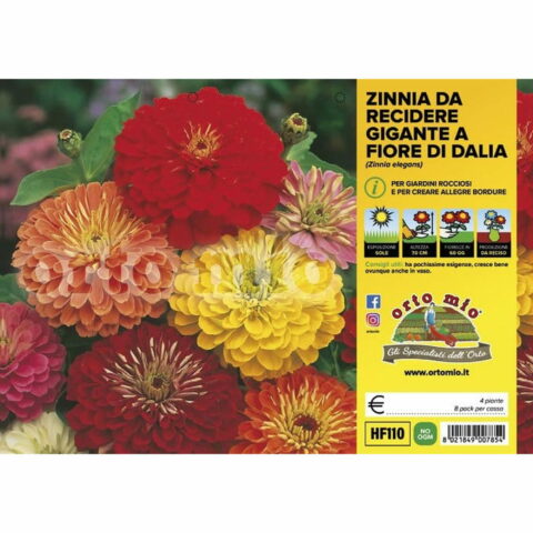 Zinnia gigante a fior di Daliain miscuglio