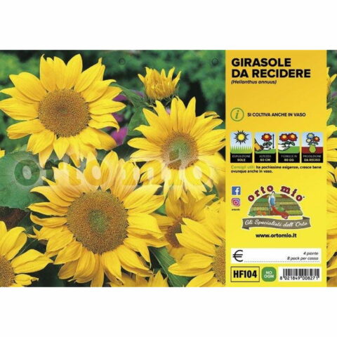 Girasole (da recidere)