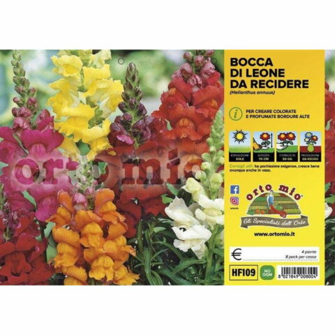 Bocca di leone (da recidere)