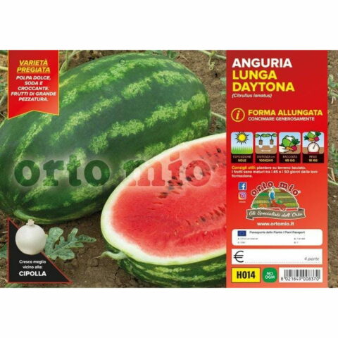 Anguria lunga striata "Daytona F1"