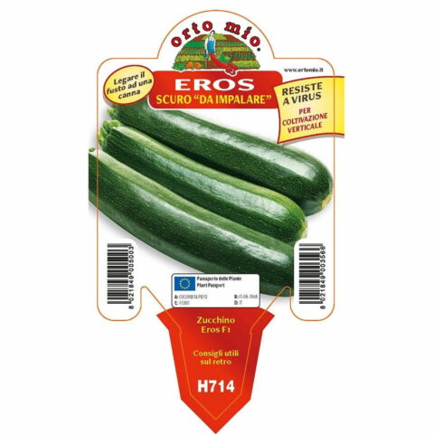 Zucchino scuro "Eros F1"