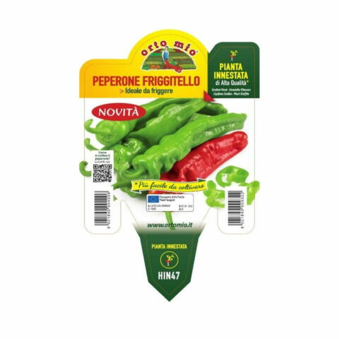 Peperone friggitello "Torricello F1/Isotta F1" innestato