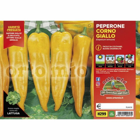Peperone corno giallo "Astor F1"
