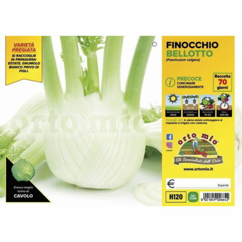 Finocchio precoce "Bellotto F1"
