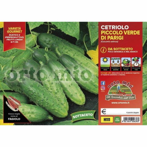 Cetriolo piccolo verde "Green Pick F1" (da sottaceto)