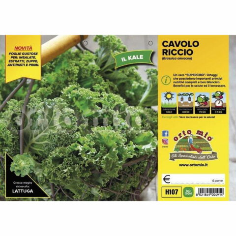 Cavolo riccio "Green Kale F1"