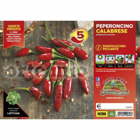 Peperoncino piccante calabrese diavolicchio "Italico F1"