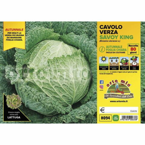 Cavolo verza chiara precoce "Savoy King F1"