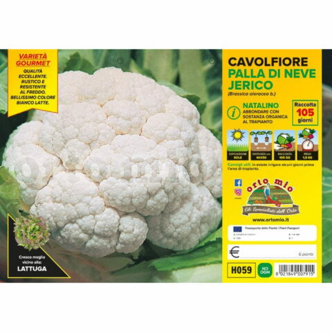 Cavolfiore palla di neve o natalino "Jerico F1"