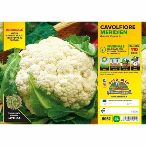 Cavolfiore invernale "Meridien F1"