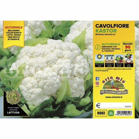 Cavolfiore autunnale "Kastor F1"