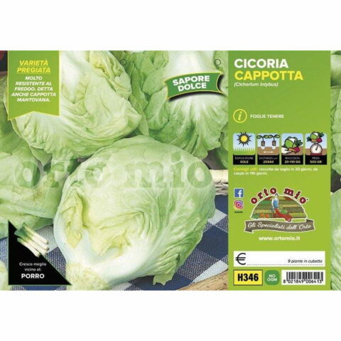 Cicoria e Radicchio bianca cappotta mantovana sel. Felsinea