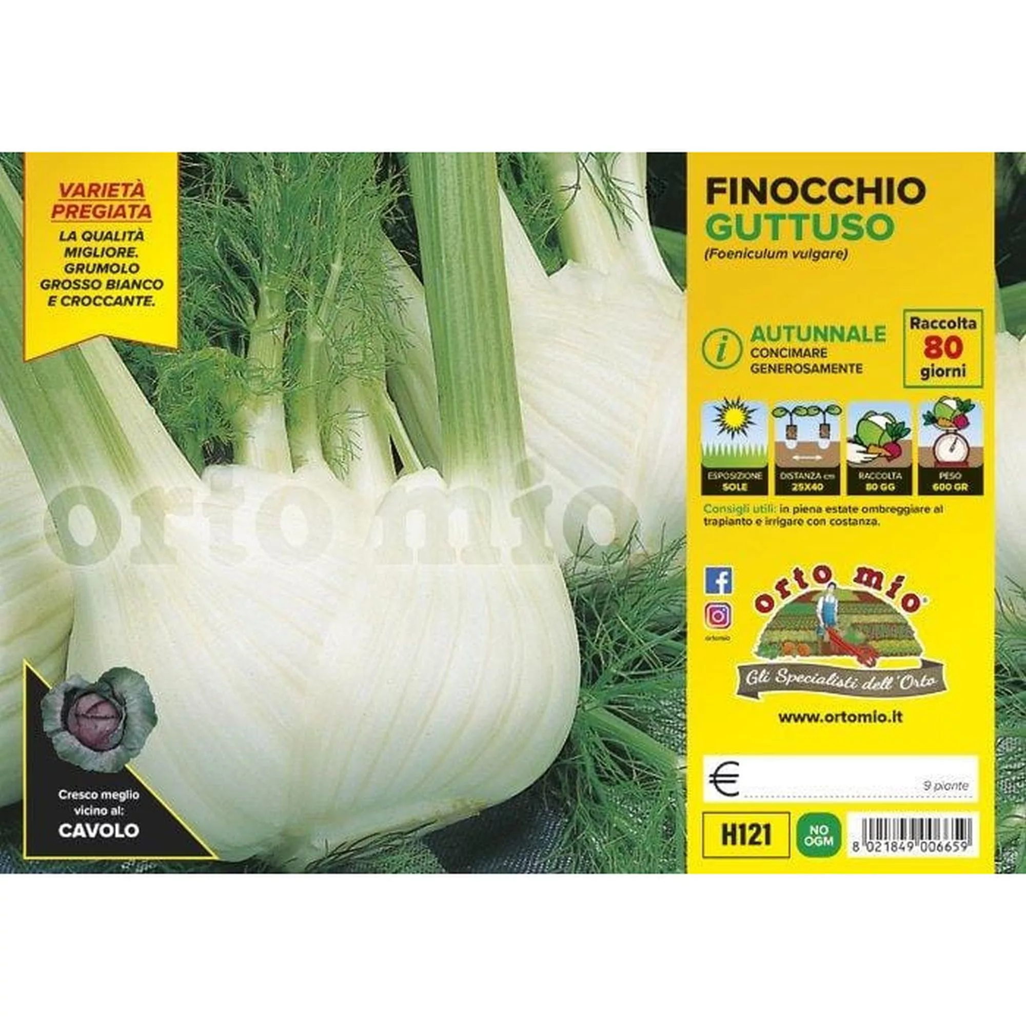 Finocchio autunnale "Guttuso F1"