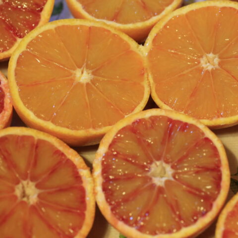 Arancio rosso "Tarocco"