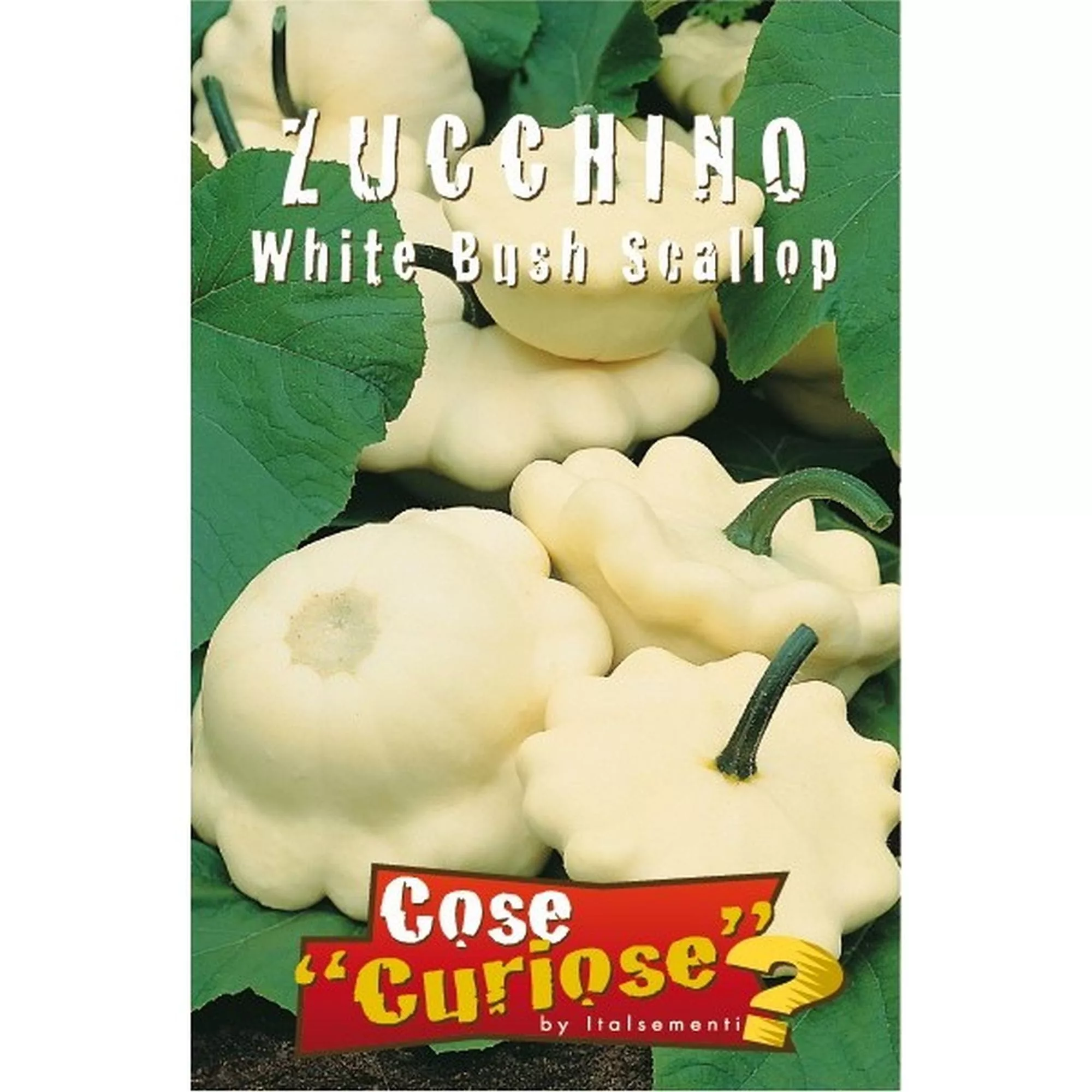 Zucchino Early Bush Scallop (Semente)