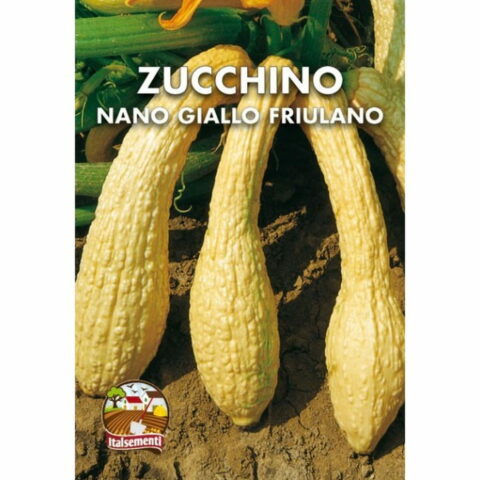 Zucchino giallo rugoso friulano (Semente)