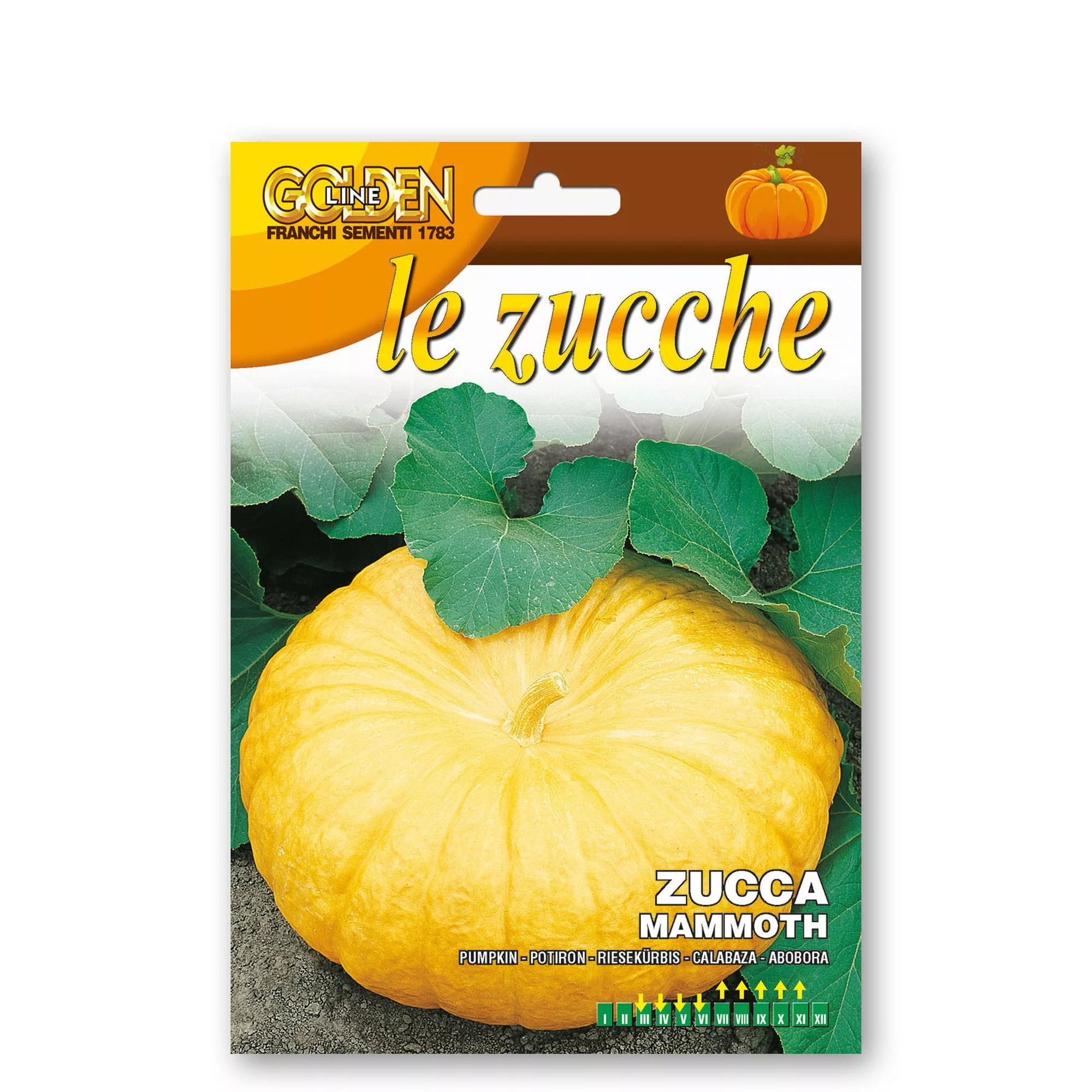 Zucca mammoth (Semente)