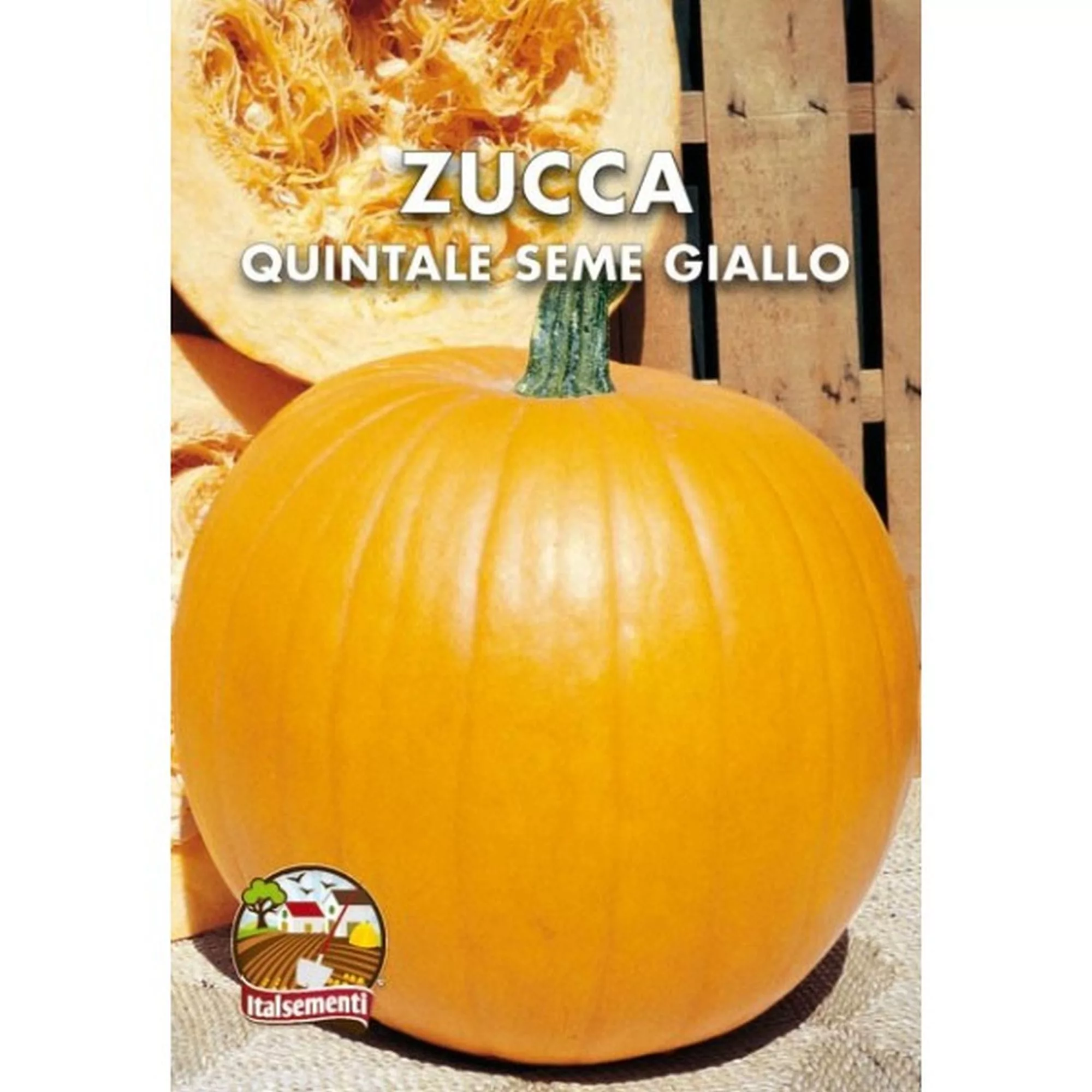 Zucca quintale seme giallo (Semente)