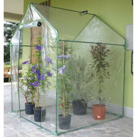 Serra Clematis