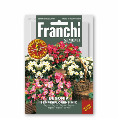 Begonia semperflorens in miscuglio (Semente)
