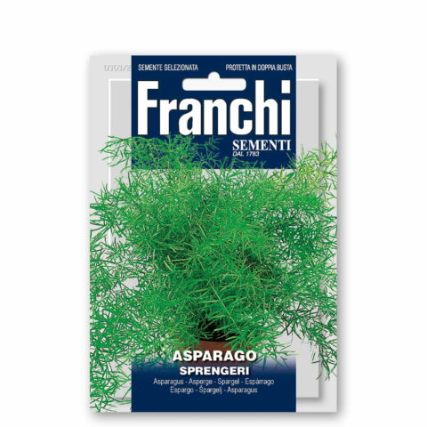 Asparagus densiflorus "Sprengeri" (Semente)