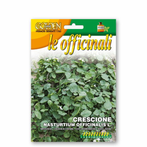 Crescione dAcqua o delle Fontane (Semente)