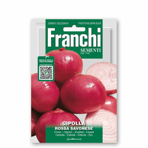 Cipolla rossasavonese (Semente)