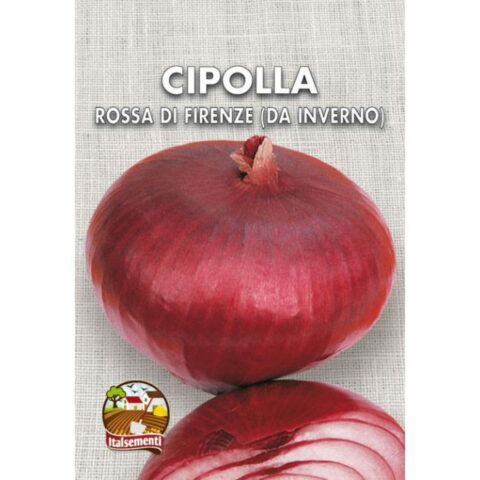 Cipolla rossa di Firenze o Toscana (Semente)