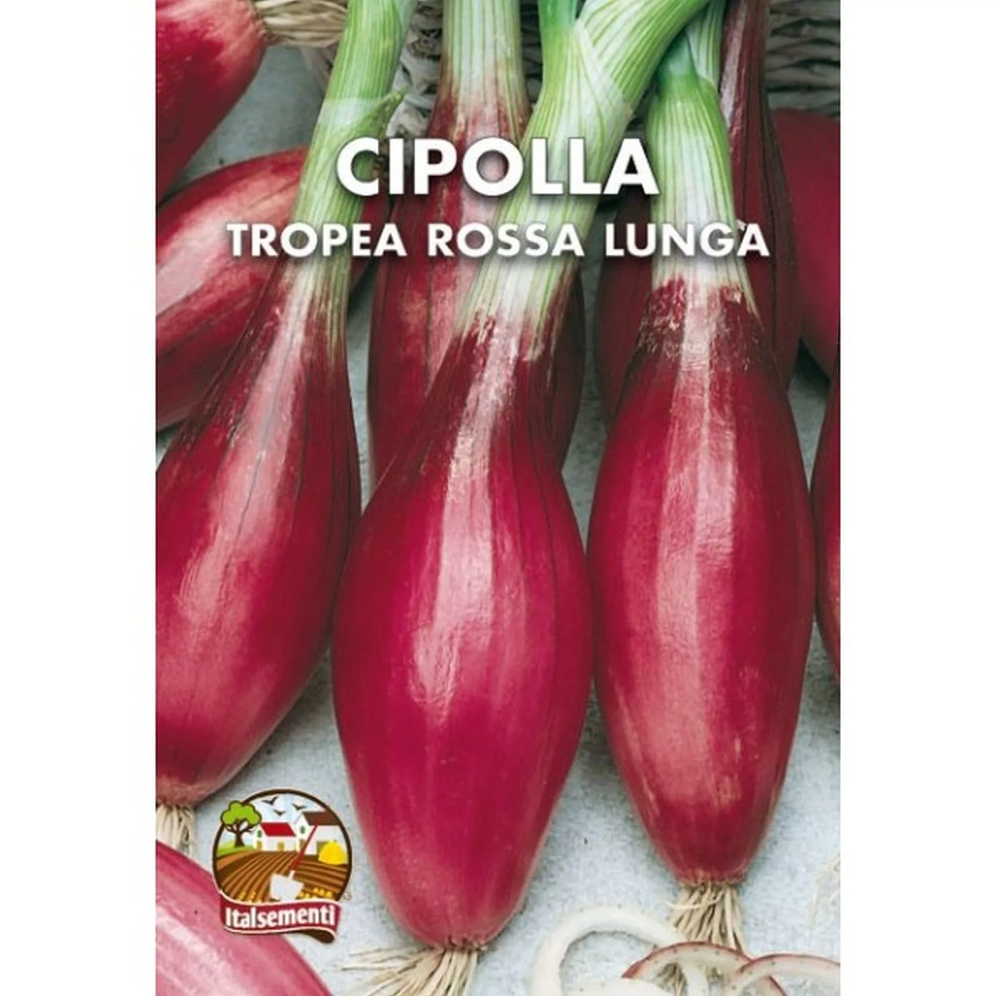 Cipolla rossa lunga tropeana (Semente)