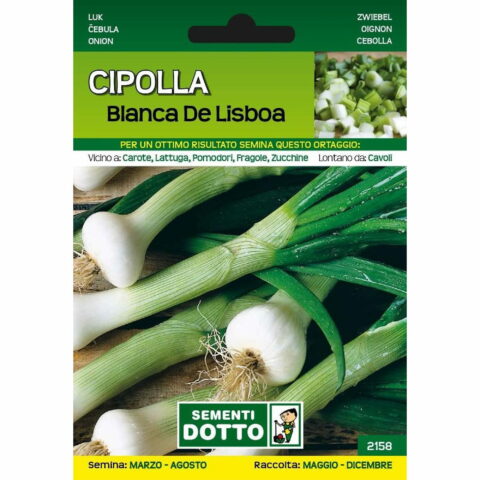 Cipolla Bianca de Lisboa (Semente)