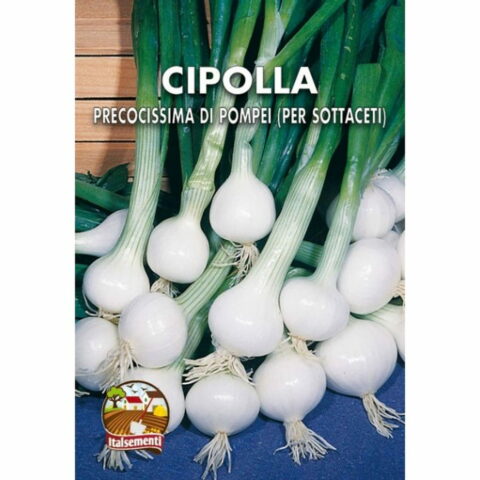 Cipolla per sottaceti (Semente)