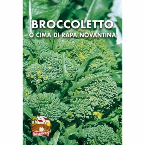 Cima di Rapa o Broccoletto Novantina (Semente)