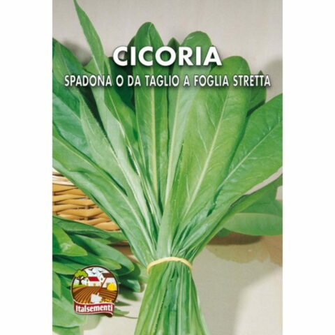 Cicoria spadona da taglio a foglia stretta (Semente)