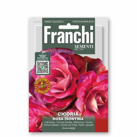 Cicoria Rosa Isontina (Semente)