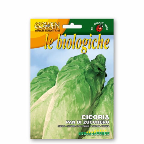 Cicoria pan di zucchero (Semente biologica)