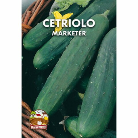 Cetriolo mezzo lungo Marketer (Semente)