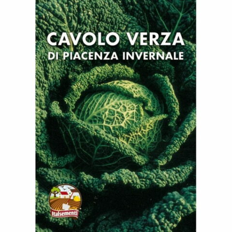 Cavolo verza di Piacenza invernale (Semente)