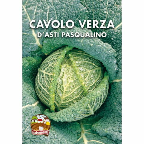 Cavolo verza dAsti San Giovanni (Semente)