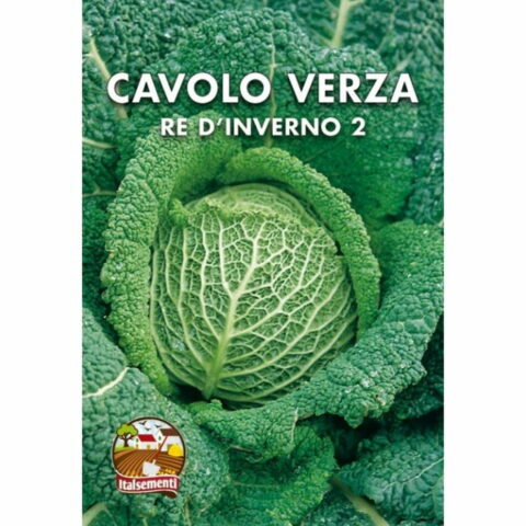 Cavolo verza Re d'Inverno (Semente)