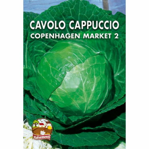 Cavolo cappuccio mercato di Copenhagen (Semente)