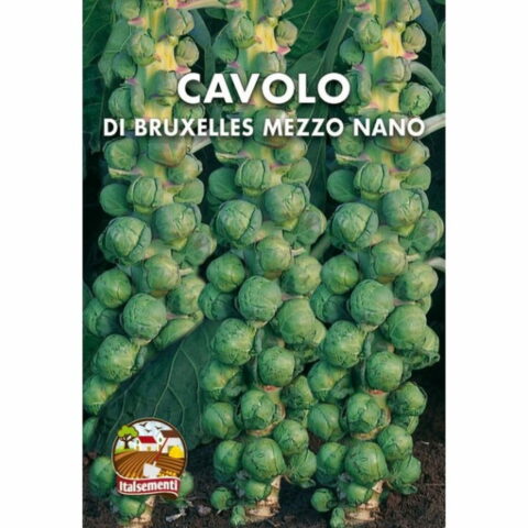 Cavolo di Bruxelles Mezzo Nano (Semente)