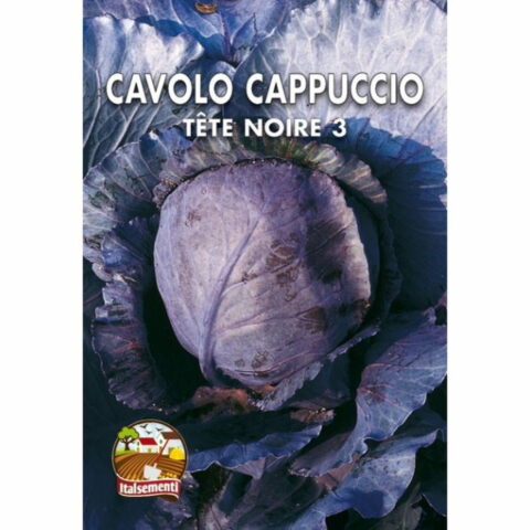Cavolo cappuccio Tte Noire 3 (Semente)