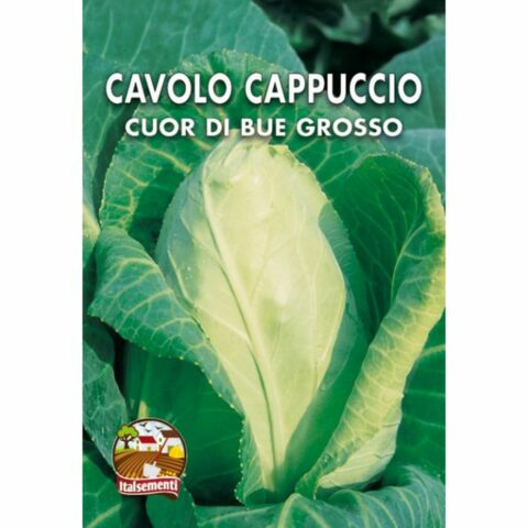 Cavolo cappuccio a cuore di bue grande (Semente)