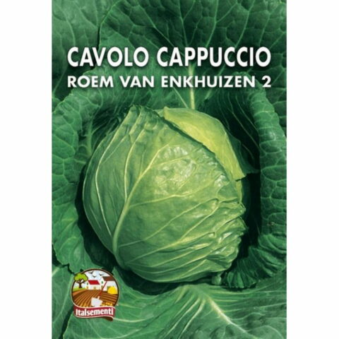 Cavolo cappuccio Gloria d'Enkhuizen 2 (Semente)